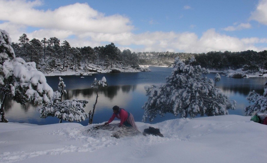 Persona de la comunidad Ódami del norte trabajando junto a un lago rodeado de bosque nevado en la Sierra Madre durante el invierno.